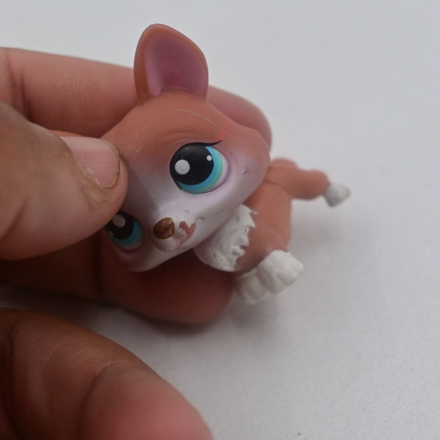 Littlest Pet Shop Corgi #317 Dog Figure