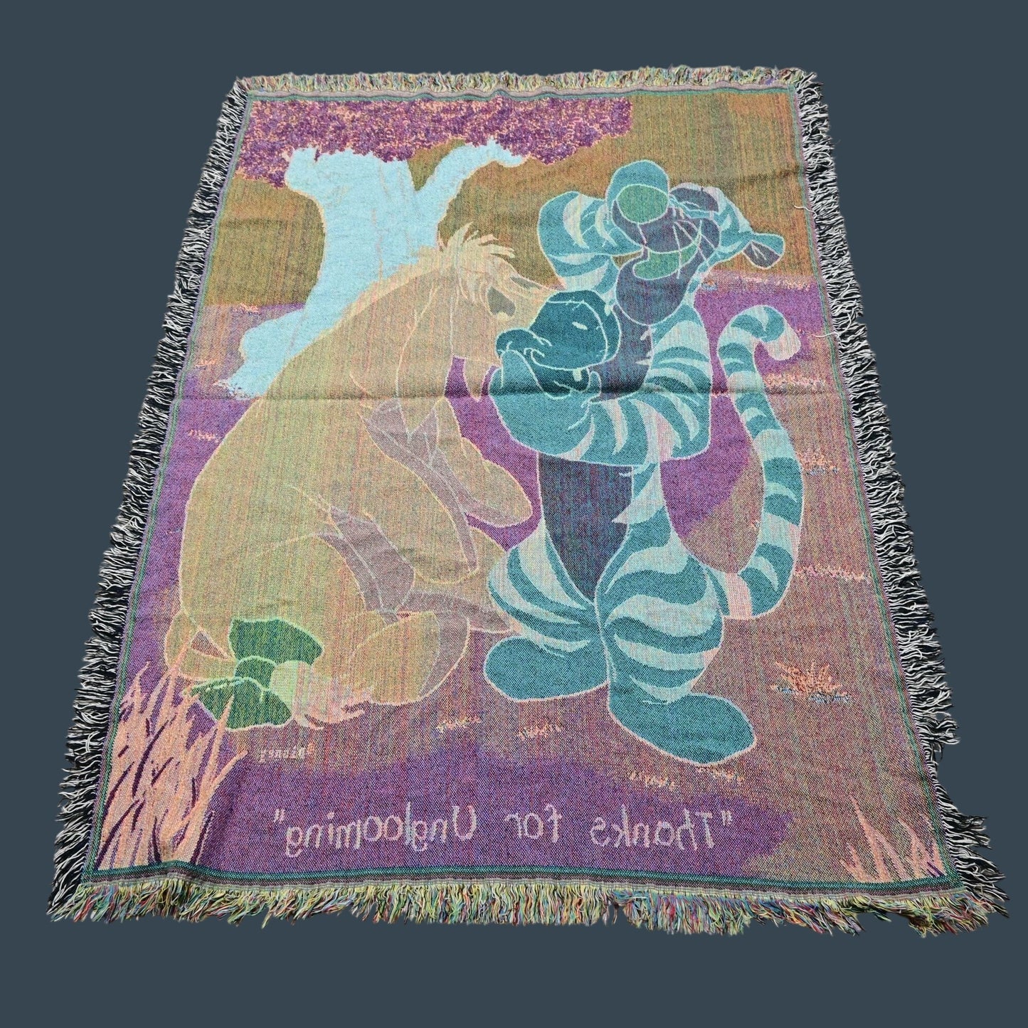 Winnie The Pooh Tigger & Eeyore Thanks For Unglooming Tapestry Throw Blanket