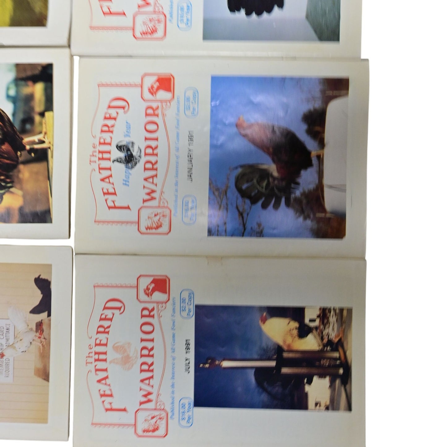 The Feathered Warrior Fowl Magazine Vintage Lot Of 15