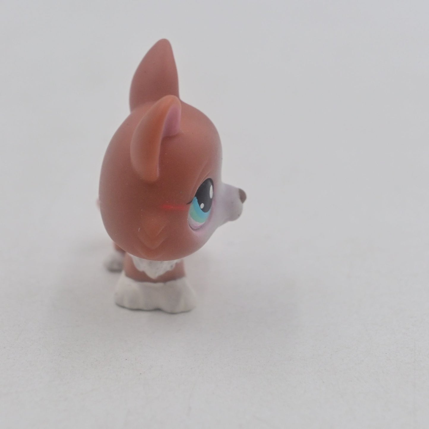 Littlest Pet Shop Corgi #317 Dog Figure