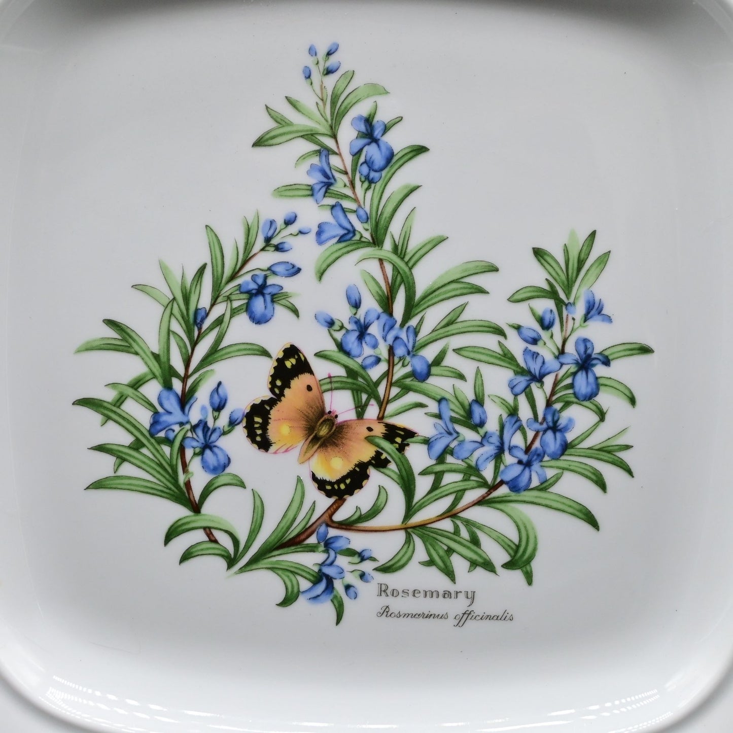 Royal Worcester Herbs Square Handled Cake Plate