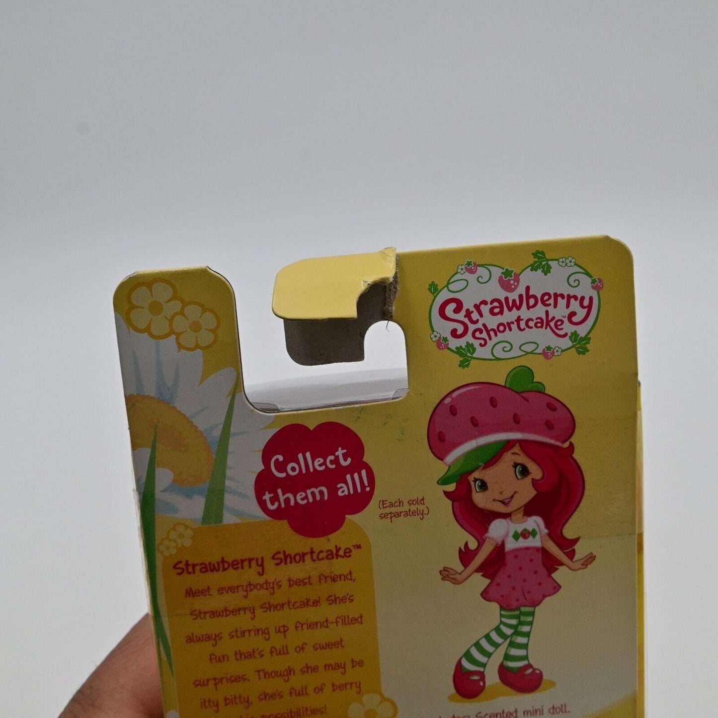 2011 Hasbro Strawberry Shortcake Figure American Greetings