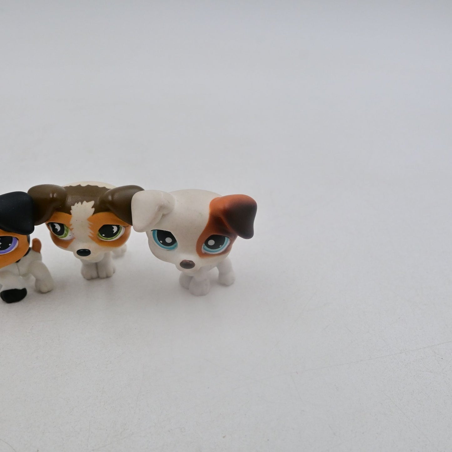 Littles Pet Shop Russell Terrier #803, #804, #151