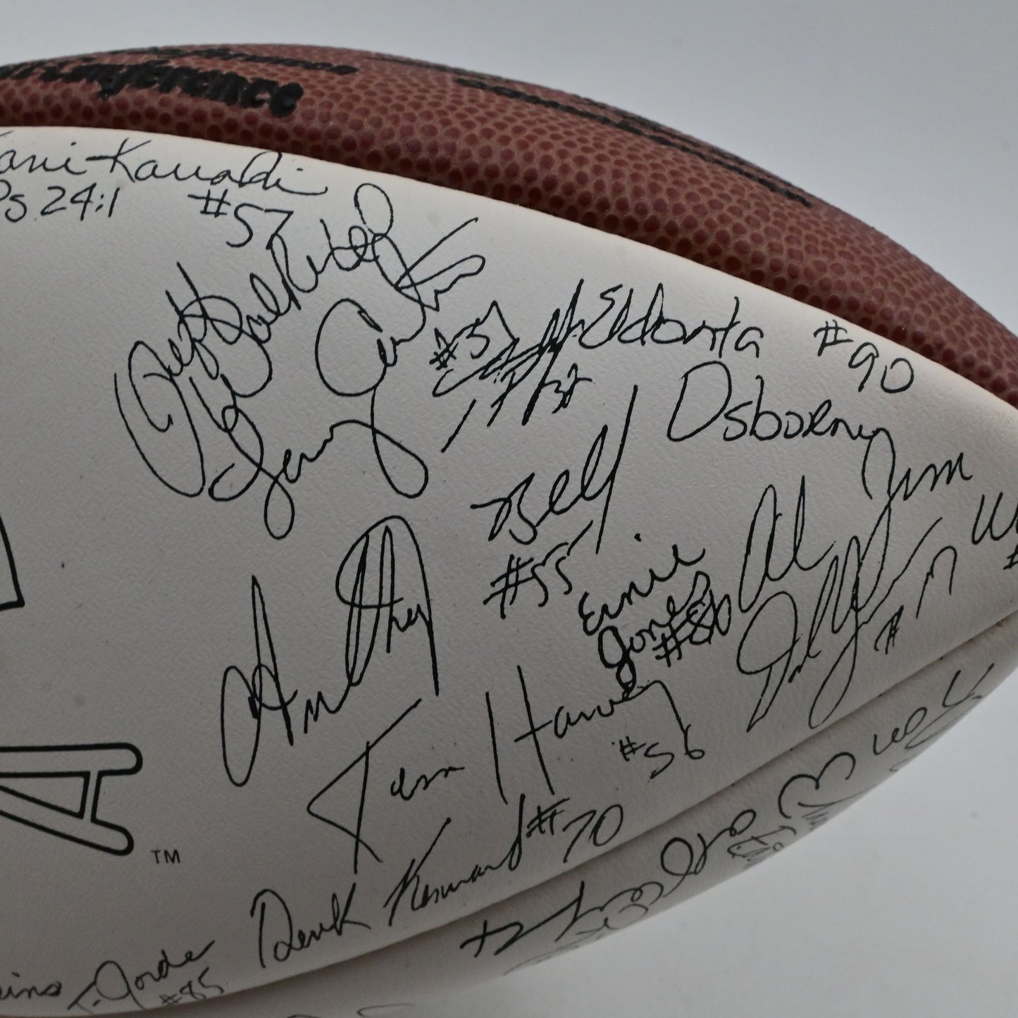 Wilson Official NFL Arizona Cardinals Fascimile Team Signed Football