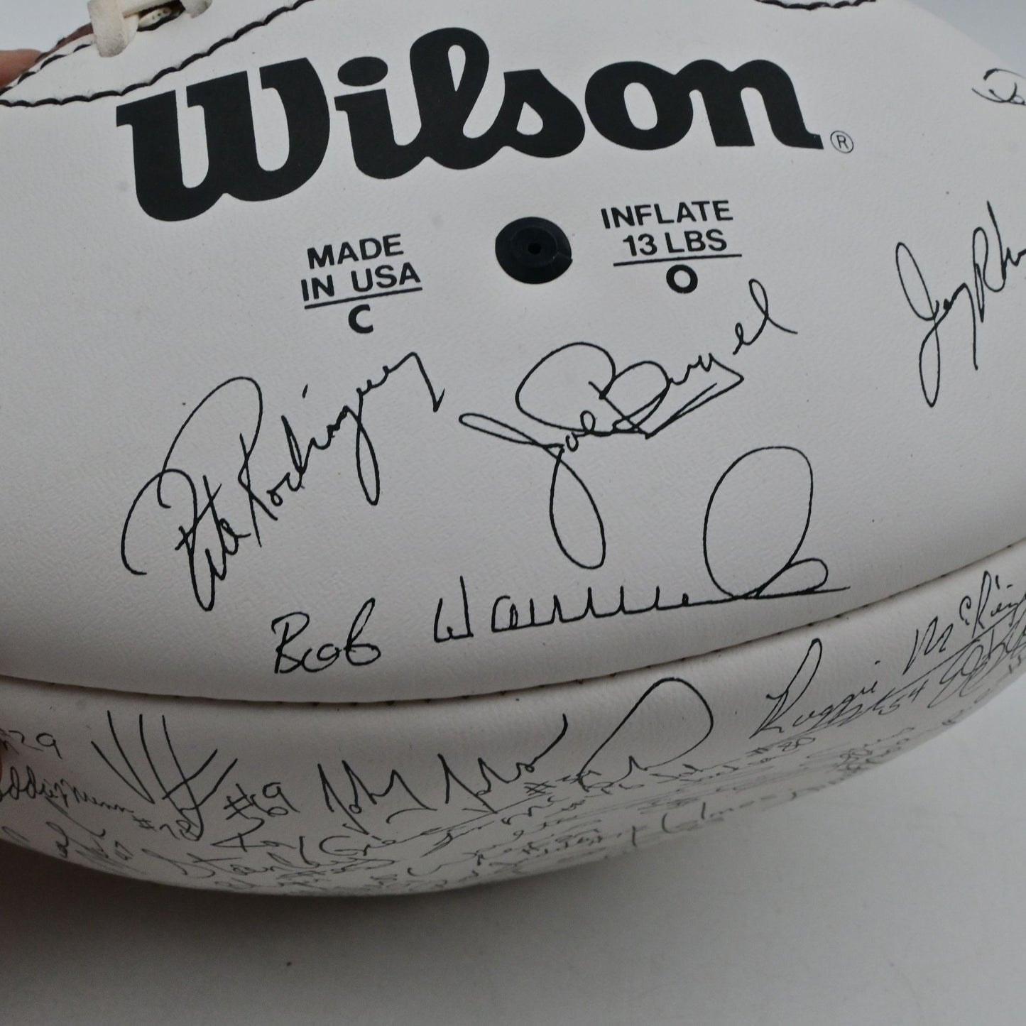 Wilson Official NFL Arizona Cardinals Fascimile Team Signed Football
