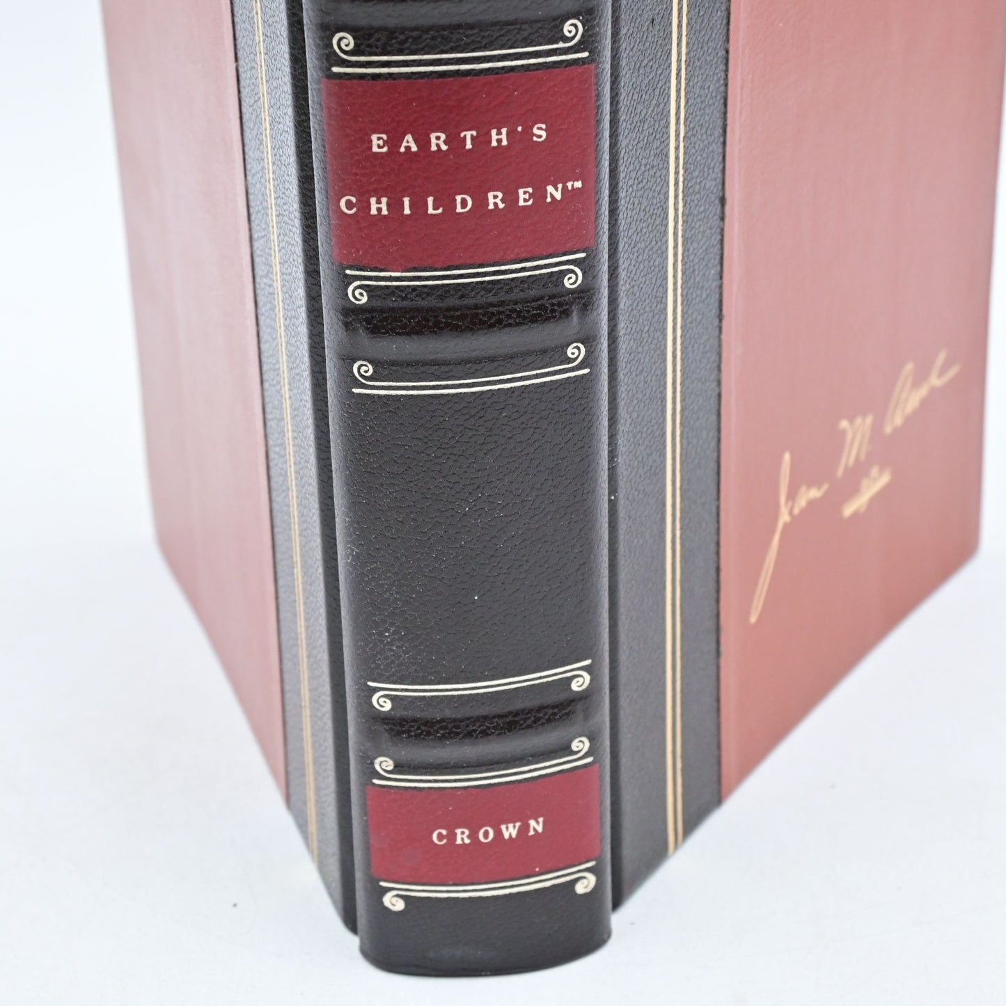 Clan of the Cave Bear Book Jean M Auel Hardcover Earth's Children