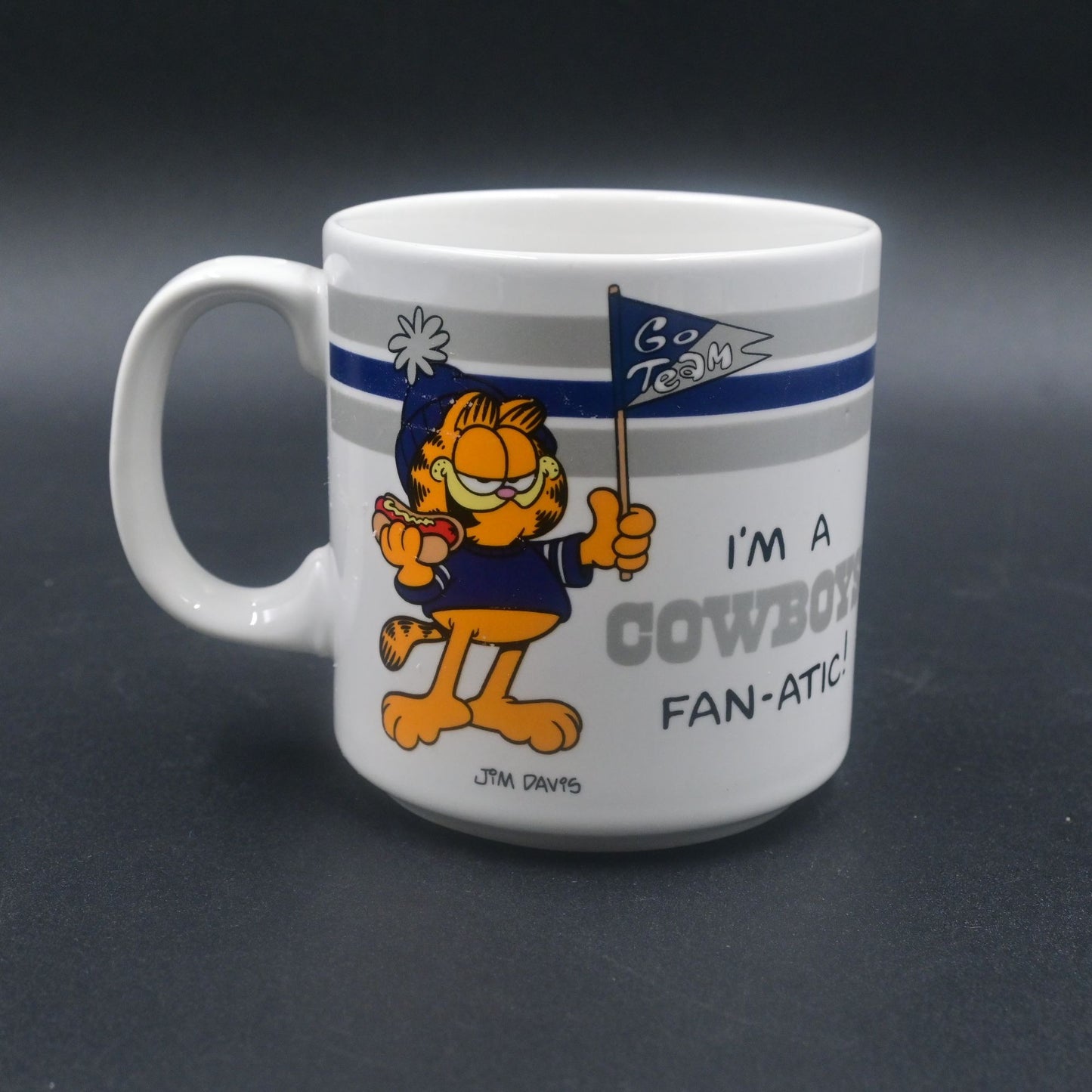 Jim Davis Garfield I am a Cowboys Fan-Atic 8oz Mug Officially Licensed NFL 1978