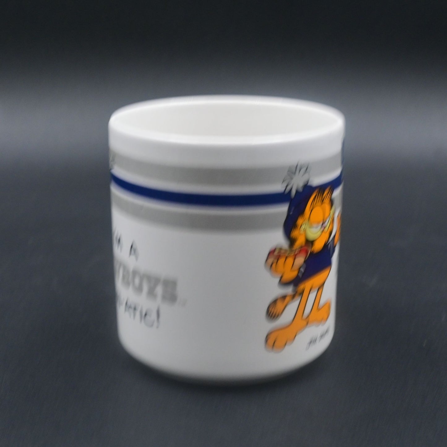 Jim Davis Garfield I am a Cowboys Fan-Atic 8oz Mug Officially Licensed NFL 1978