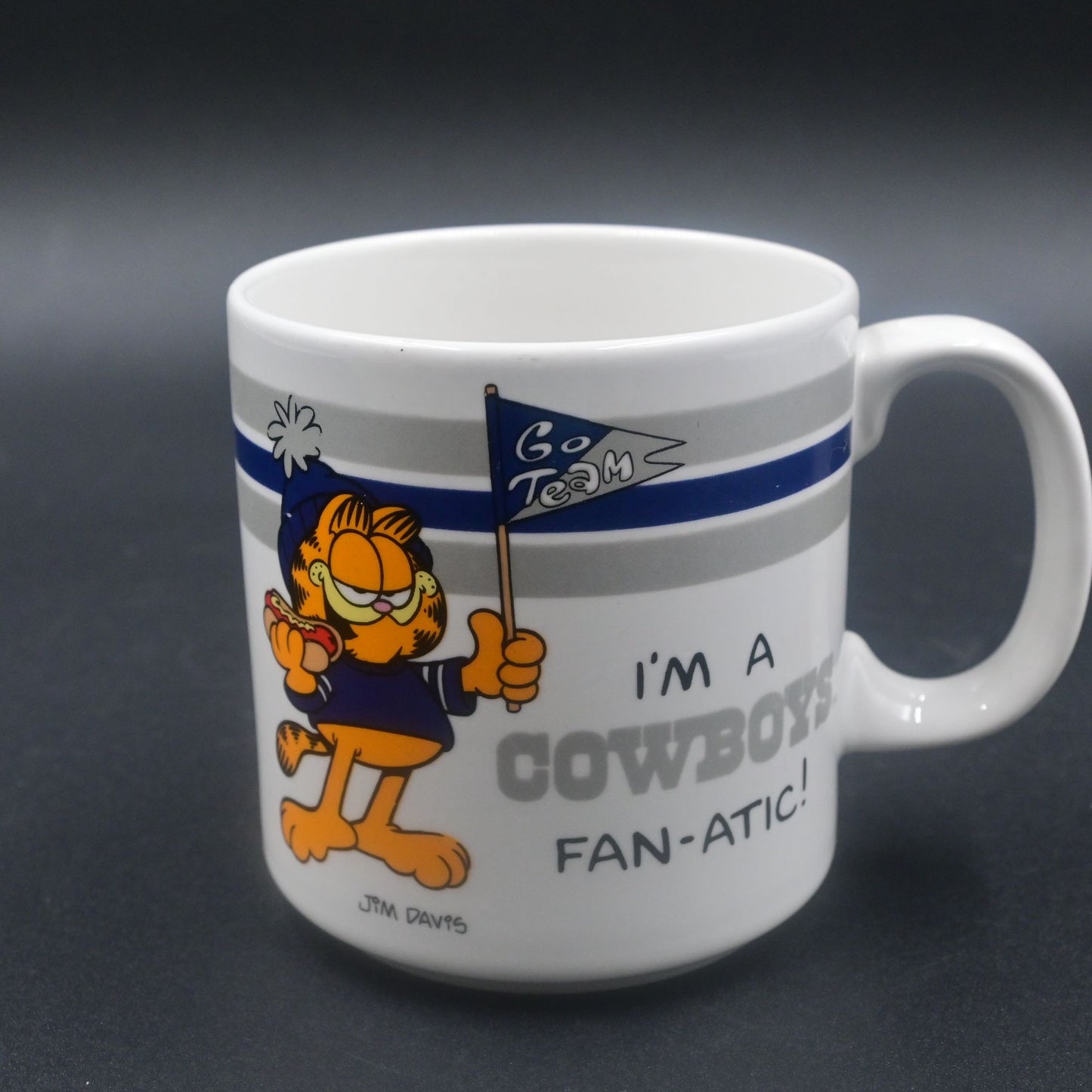 Jim Davis Garfield I am a Cowboys Fan-Atic 8oz Mug Officially Licensed NFL 1978