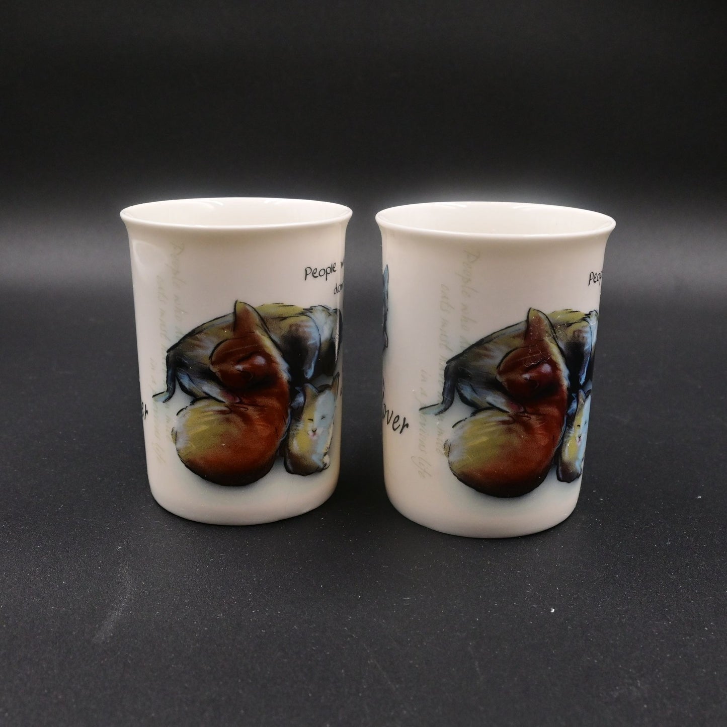 History & Heraldry New Bone China For A Cat Lover Coffee Mug 8oz Kitten Set Of 2