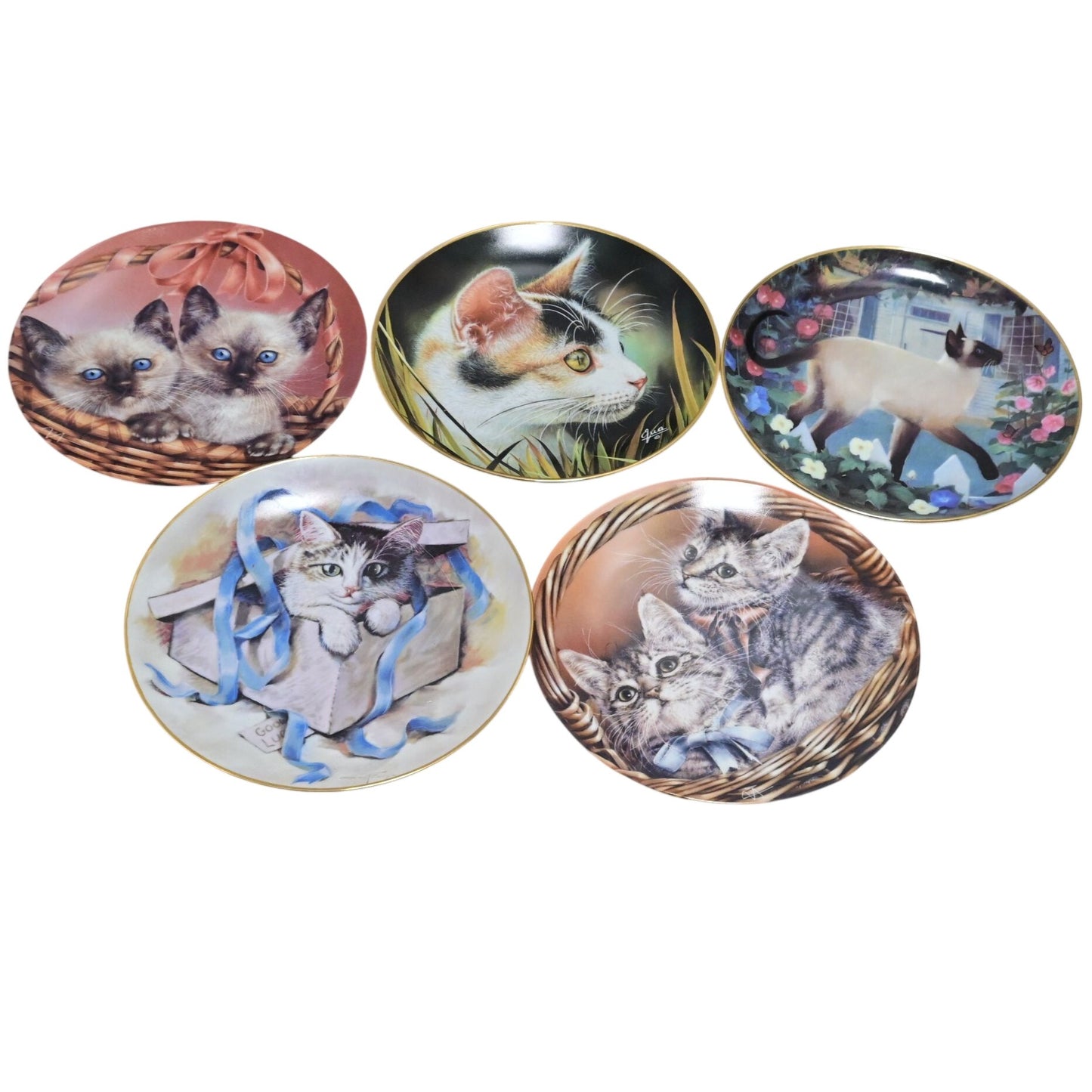Kitten Cat Collector Plate Bundle Of 5 Multiple Makers/Artists