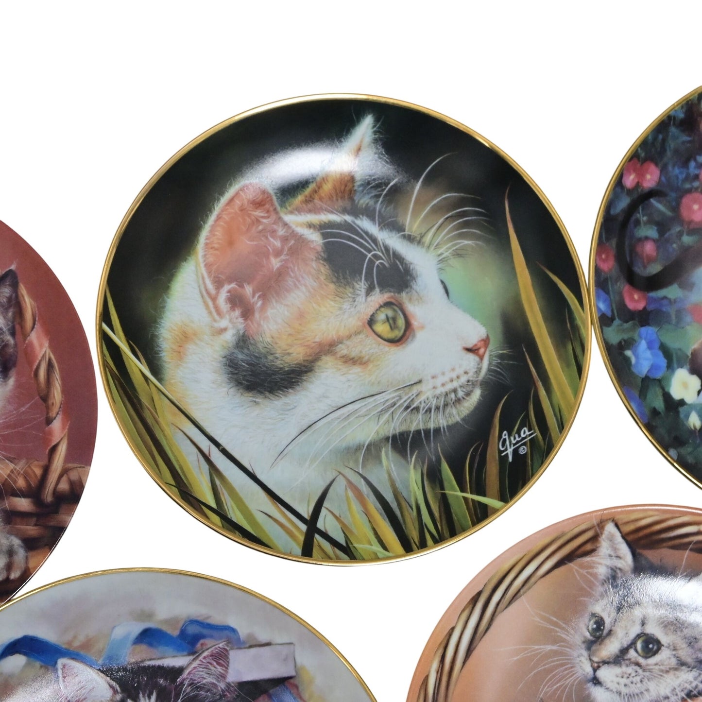 Kitten Cat Collector Plate Bundle Of 5 Multiple Makers/Artists