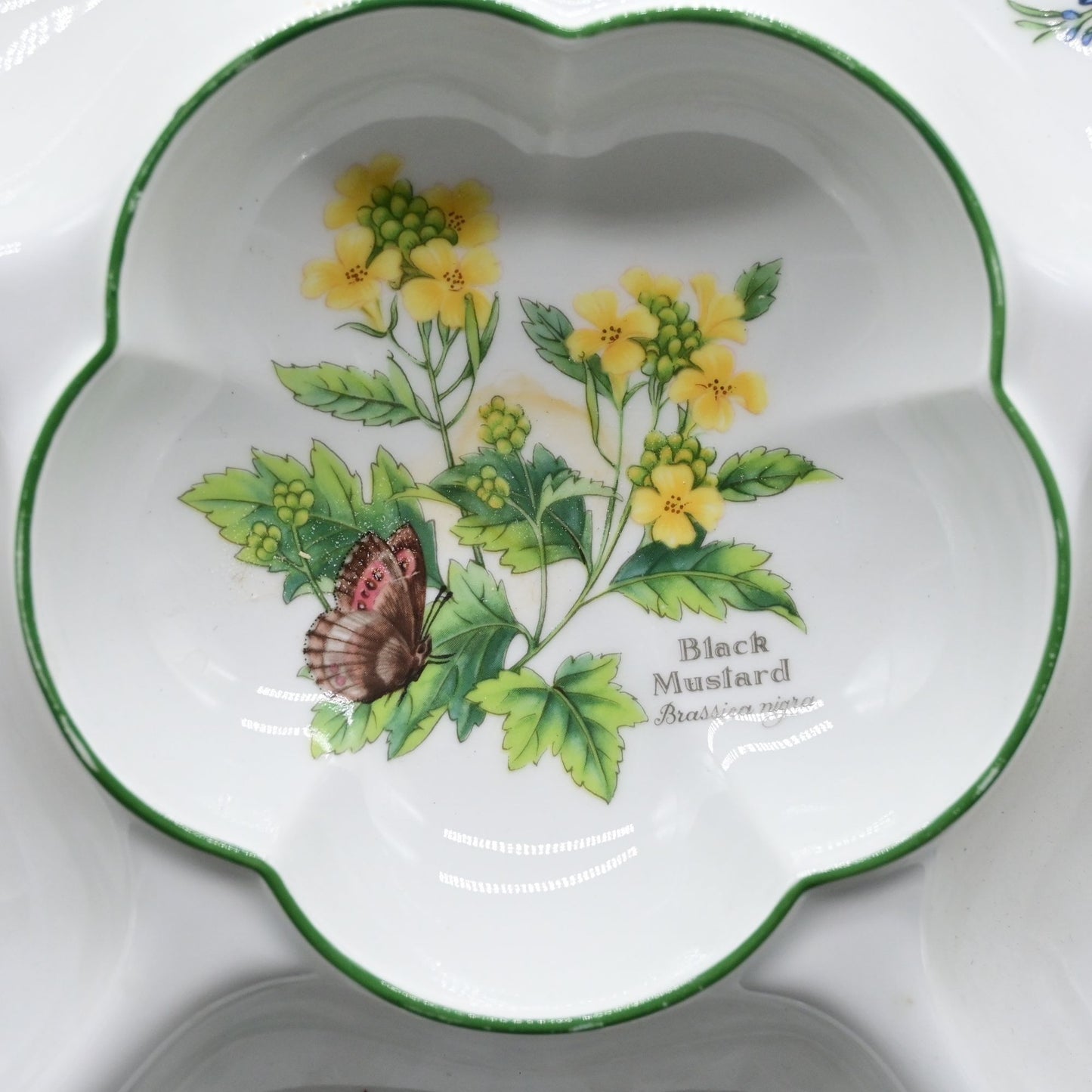 Vintage 1990 Royal Worcester Herbs Large Chip & Dip Platter