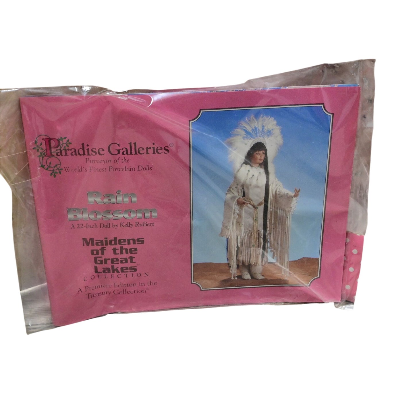 Paradise Galleries Rain Blossom Indigenous America Indian Doll
