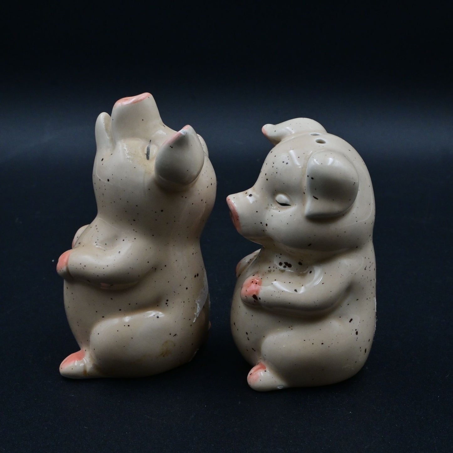 Pig Ceramic Salt And Pepper Shaker Set