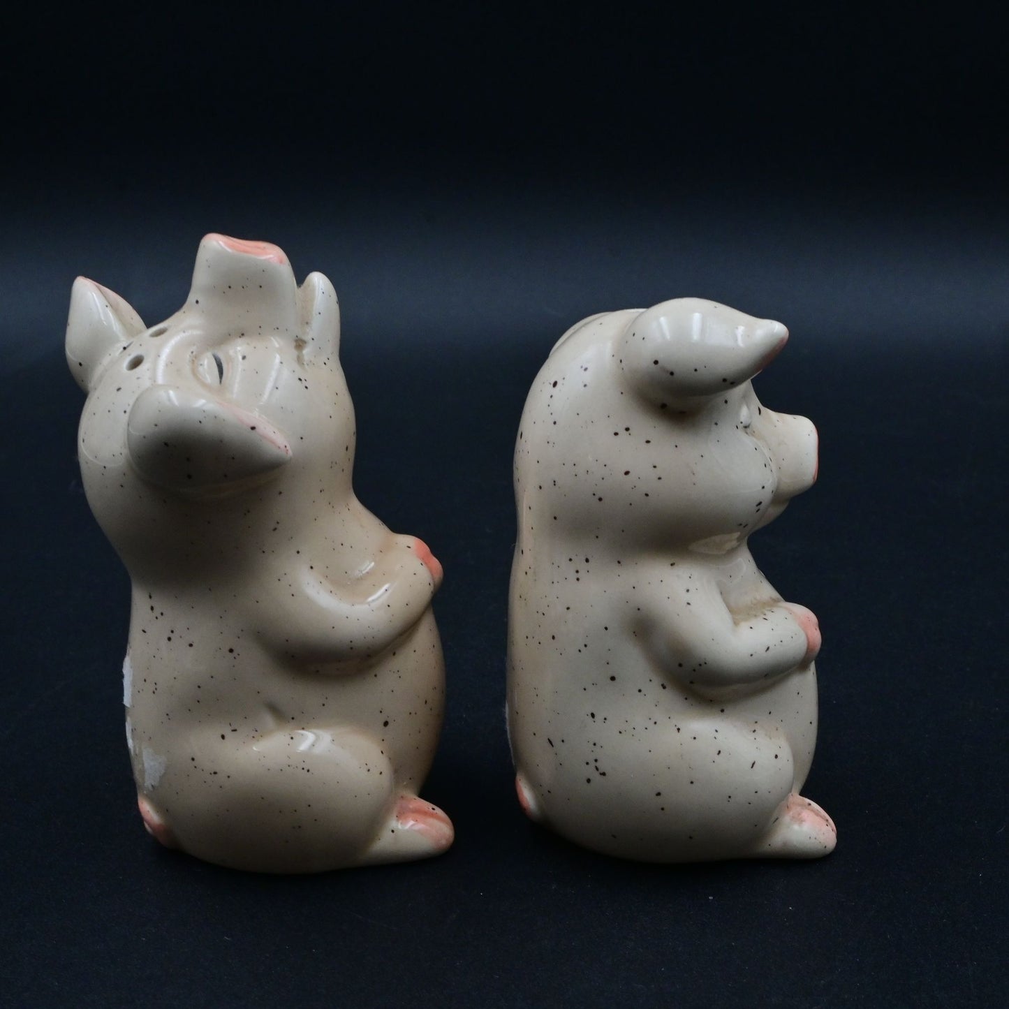 Pig Ceramic Salt And Pepper Shaker Set