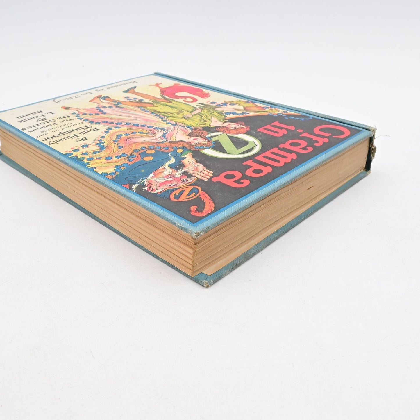 Grampa In Oz Hardcover Book By Ruth Plumly Thompson Reilly & Lee 1924 Illustrated By John R Neill